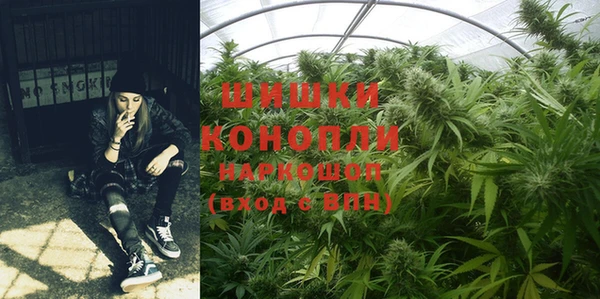 PSILOCYBIN Алексеевка