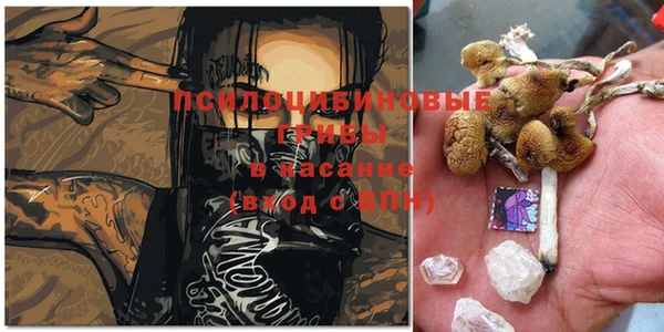 таблы Алзамай