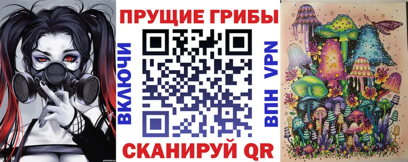 Псилоцибиновые грибы MAGIC MUSHROOMS  наркошоп  Вилючинск 